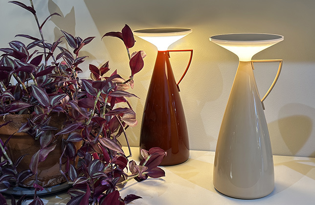 produit-camomille-Mise-en-situation-3