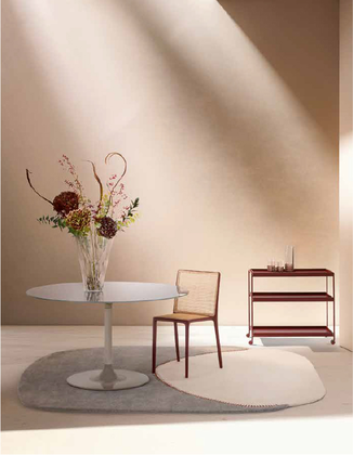 produit-trays-Mise-en-situation-2