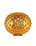 produit-planet-Grande-Photo-1-miniature